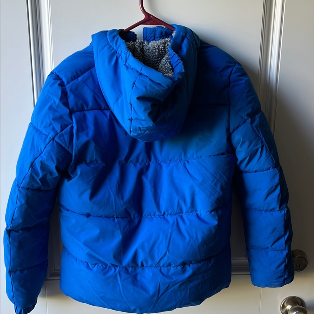 ZeroXposur Kids Royal Blue Puffer Jacket - Picture 7 of 8